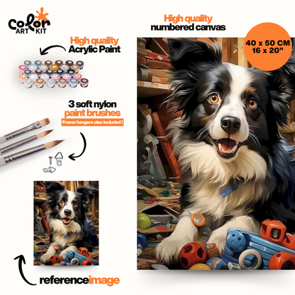Happy Border Collie Playtime