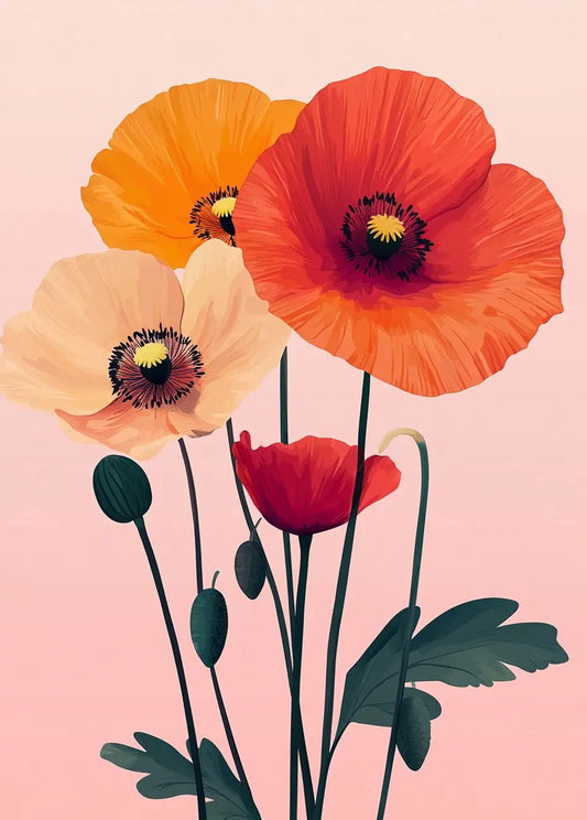 Colorful Poppies
