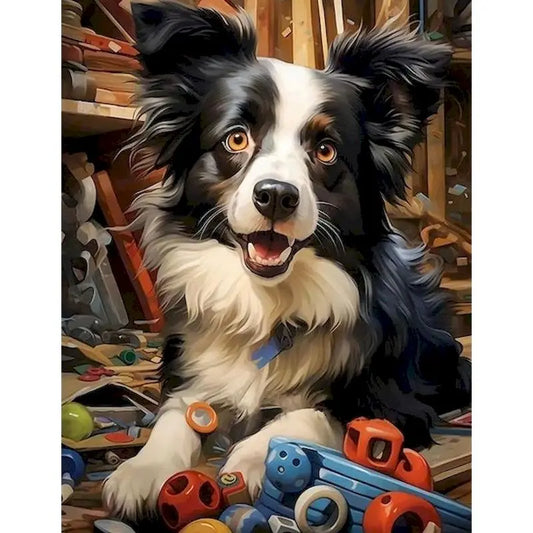 Happy Border Collie playtime.