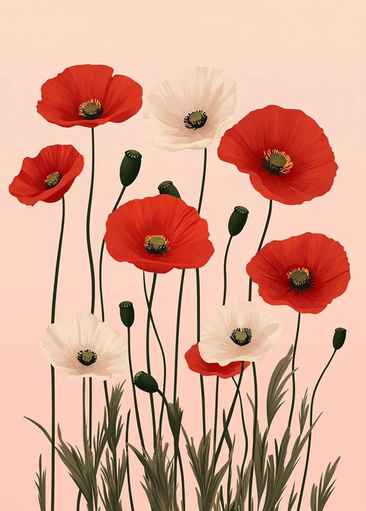 Red and white Poppies