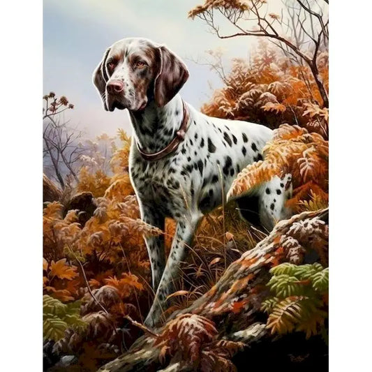 Spotted Dog Autumn Foliage