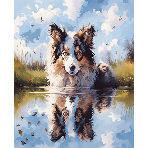 Dog Reflection Still Water