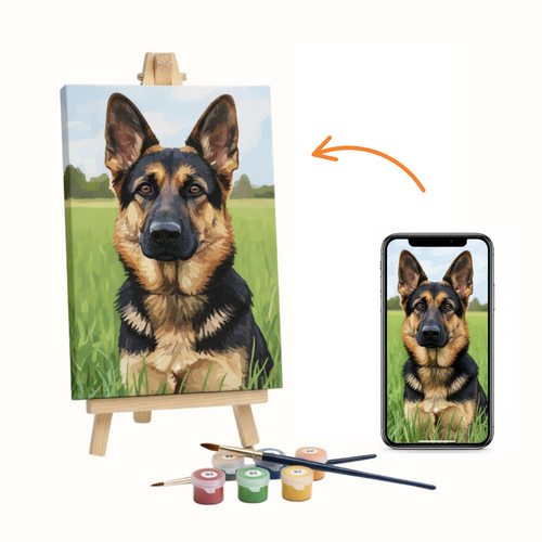 Custom Paint by Numbers Kit