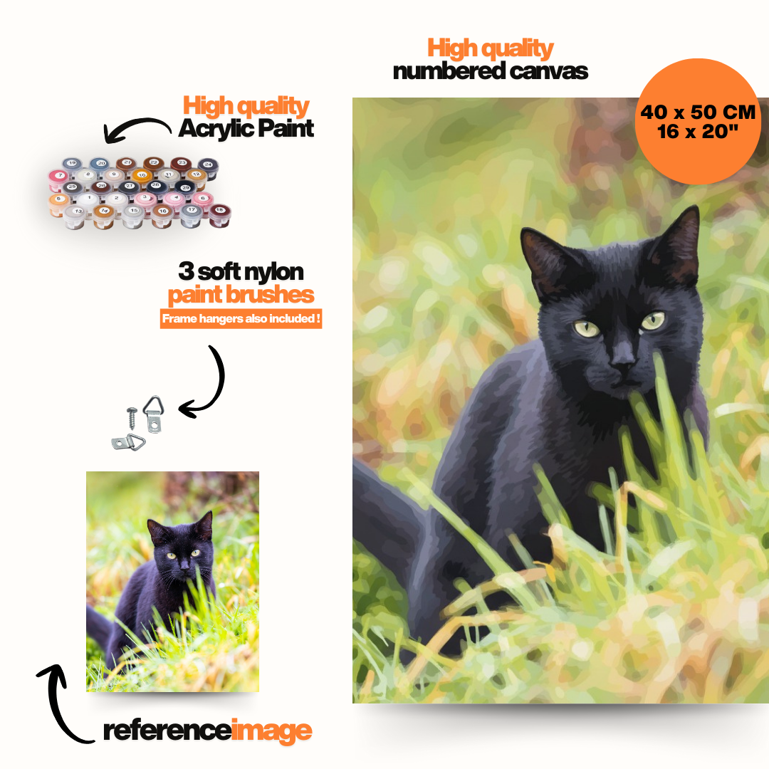Custom Paint by Numbers Kit